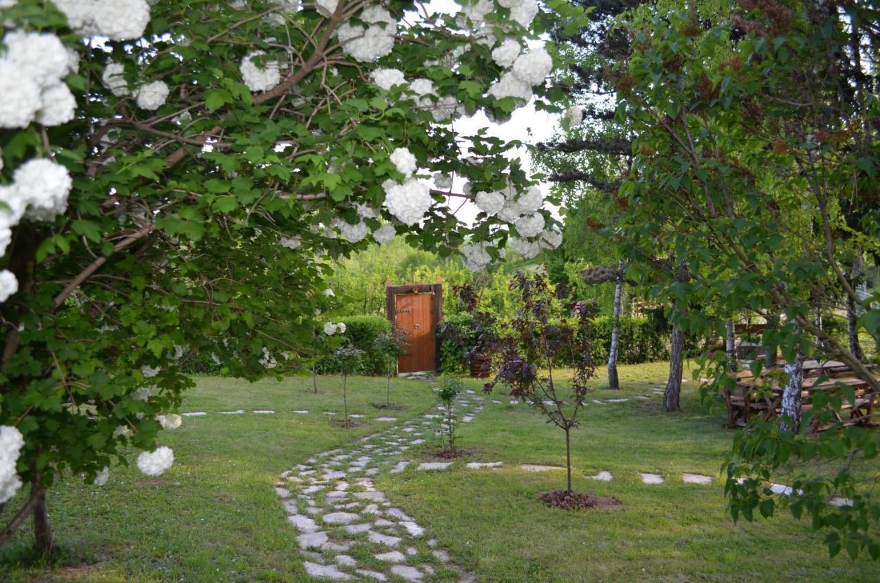 Vila Davidovic-Fruska Gora Bed & Breakfast Mandelos Luaran gambar