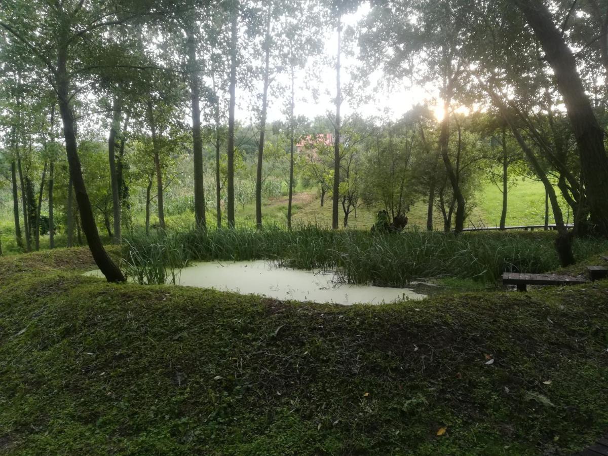 Vila Davidovic-Fruska Gora Mandelos Luaran gambar
