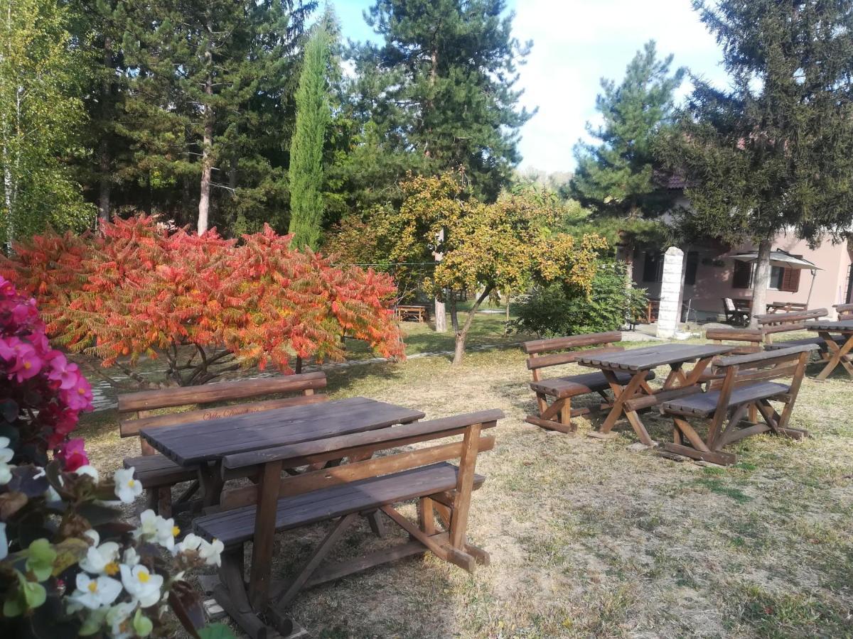 Vila Davidovic-Fruska Gora Bed & Breakfast Mandelos Luaran gambar