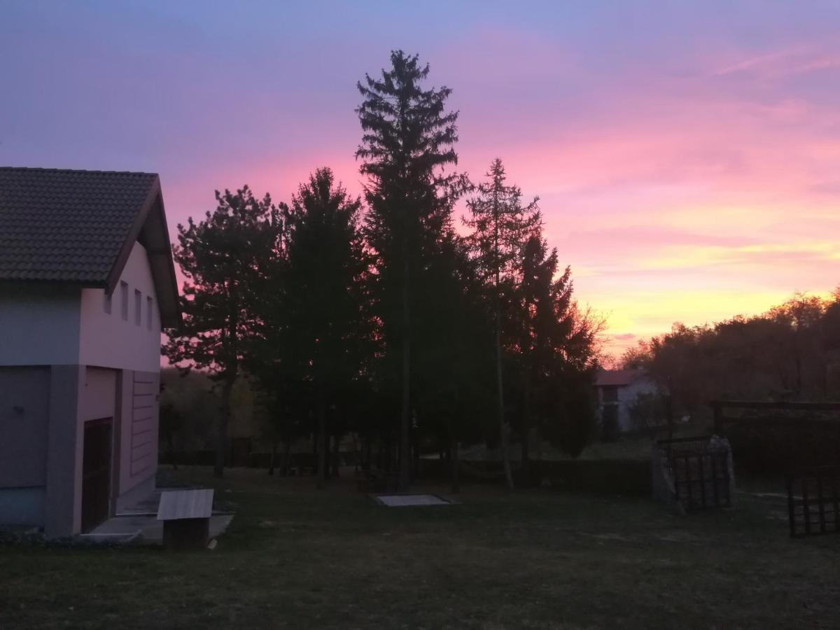 Vila Davidovic-Fruska Gora Mandelos Luaran gambar