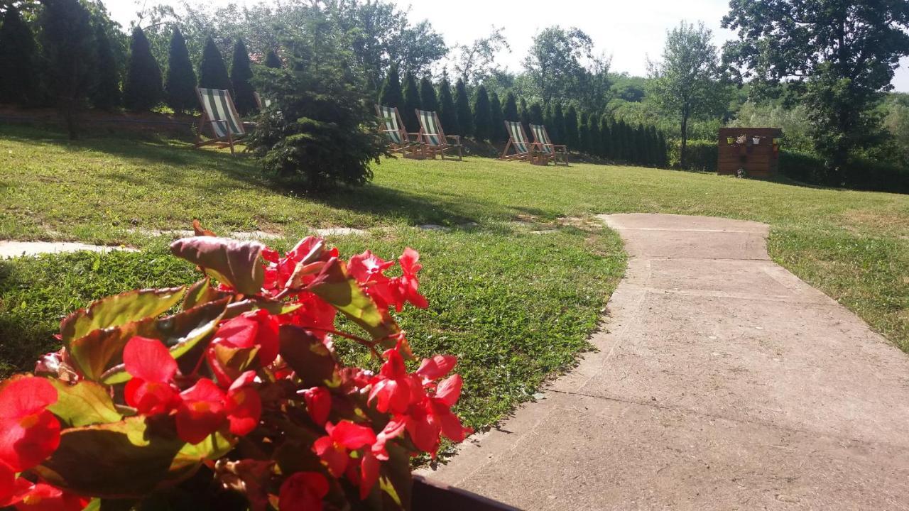 Vila Davidovic-Fruska Gora Mandelos Luaran gambar