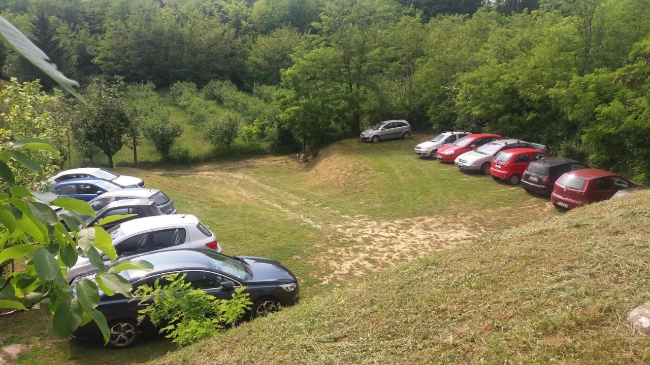 Vila Davidovic-Fruska Gora Mandelos Luaran gambar