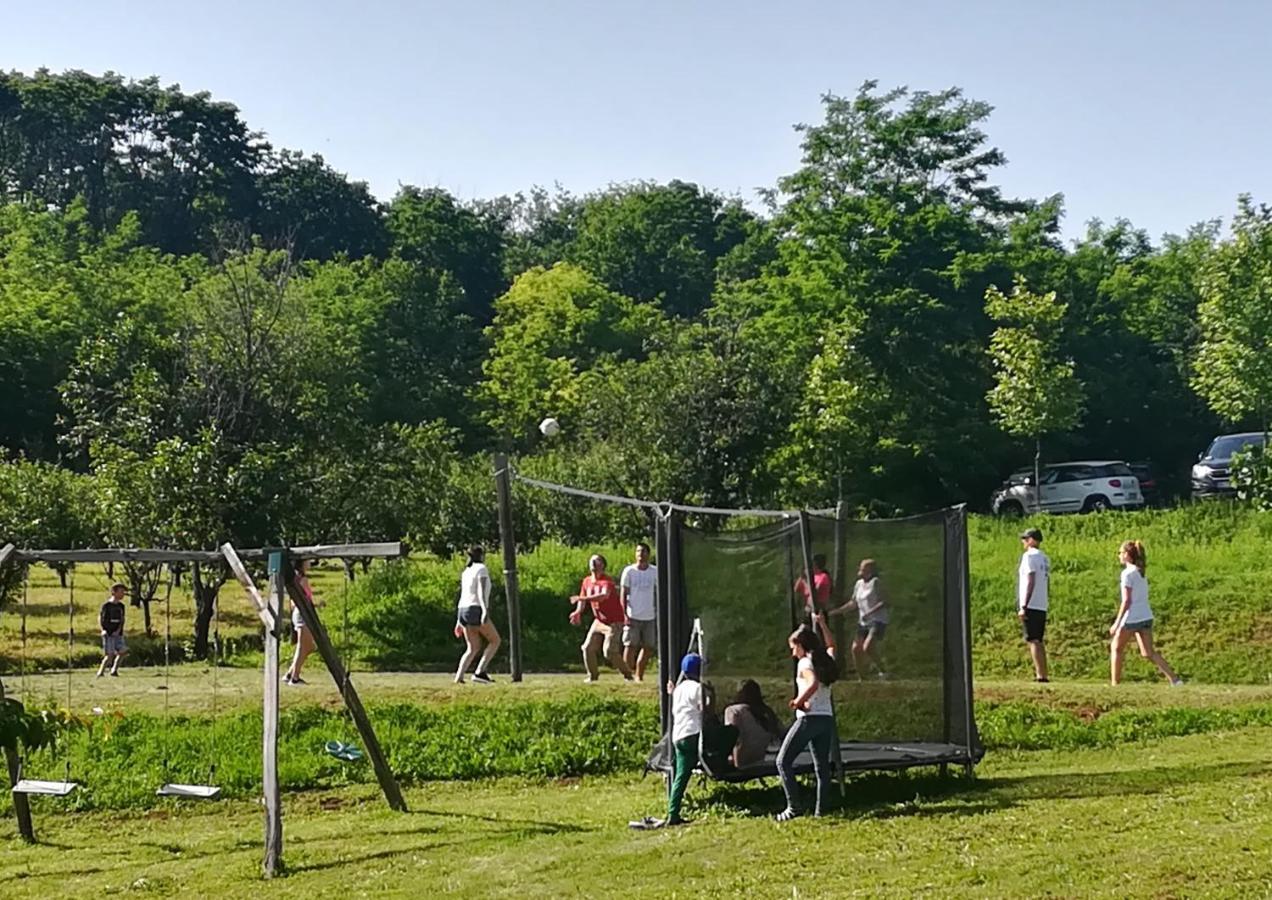 Vila Davidovic-Fruska Gora Mandelos Luaran gambar