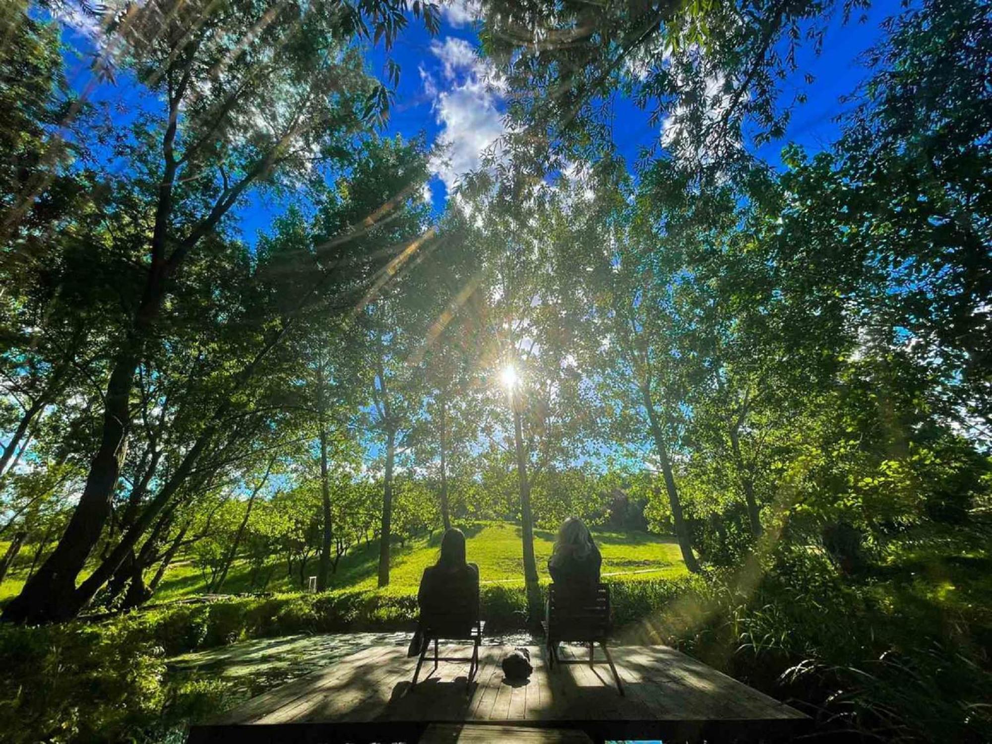 Vila Davidovic-Fruska Gora Mandelos Luaran gambar