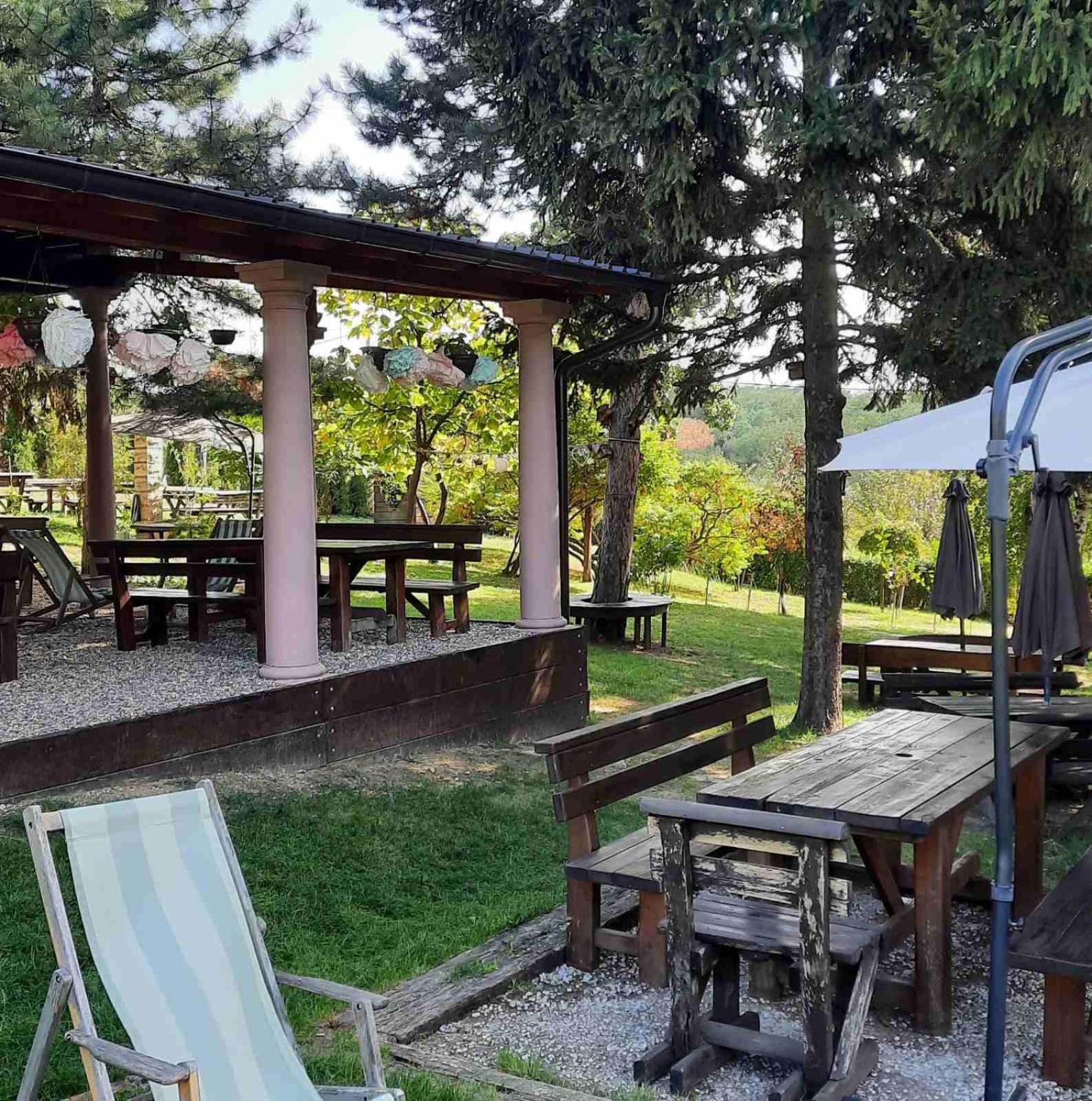 Vila Davidovic-Fruska Gora Bed & Breakfast Mandelos Luaran gambar