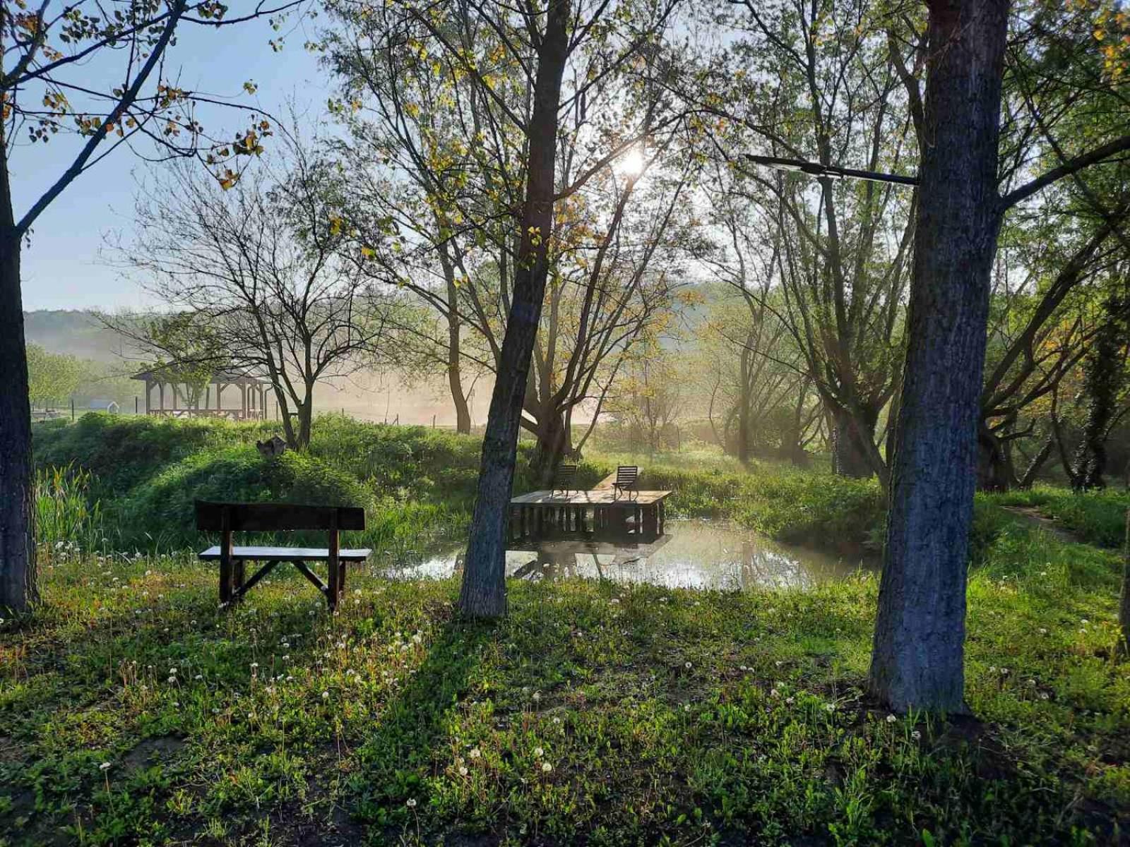 Vila Davidovic-Fruska Gora Mandelos Luaran gambar