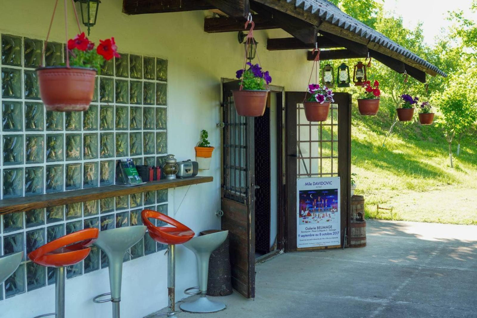 Vila Davidovic-Fruska Gora Bed & Breakfast Mandelos Luaran gambar