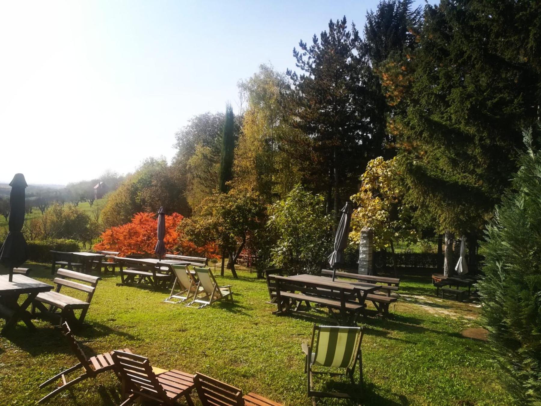 Vila Davidovic-Fruska Gora Bed & Breakfast Mandelos Luaran gambar