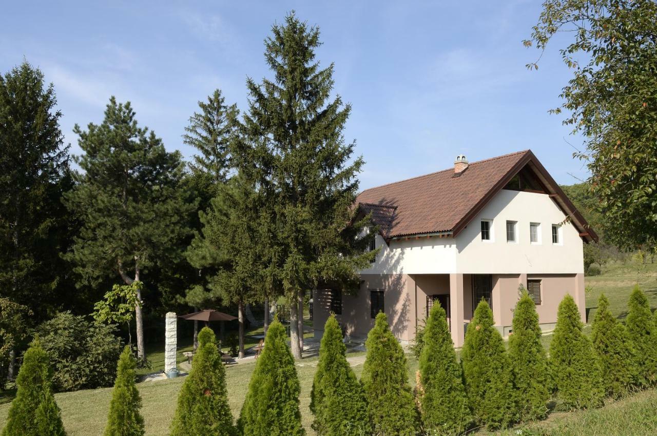 Vila Davidovic-Fruska Gora Bed & Breakfast Mandelos Luaran gambar