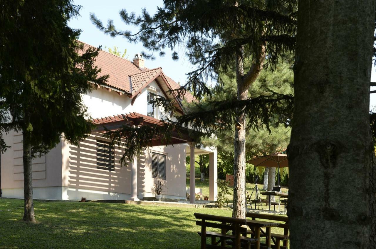 Vila Davidovic-Fruska Gora Bed & Breakfast Mandelos Luaran gambar