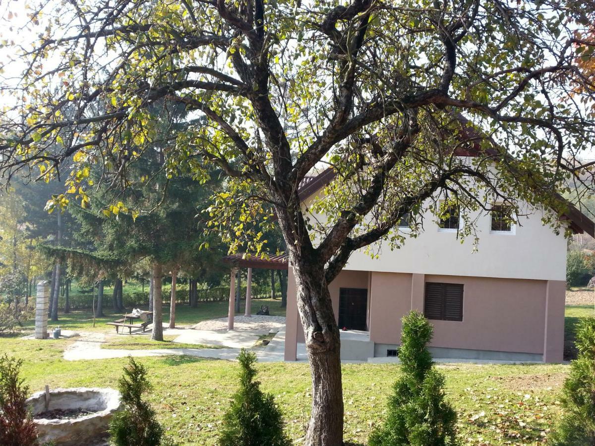 Vila Davidovic-Fruska Gora Mandelos Luaran gambar