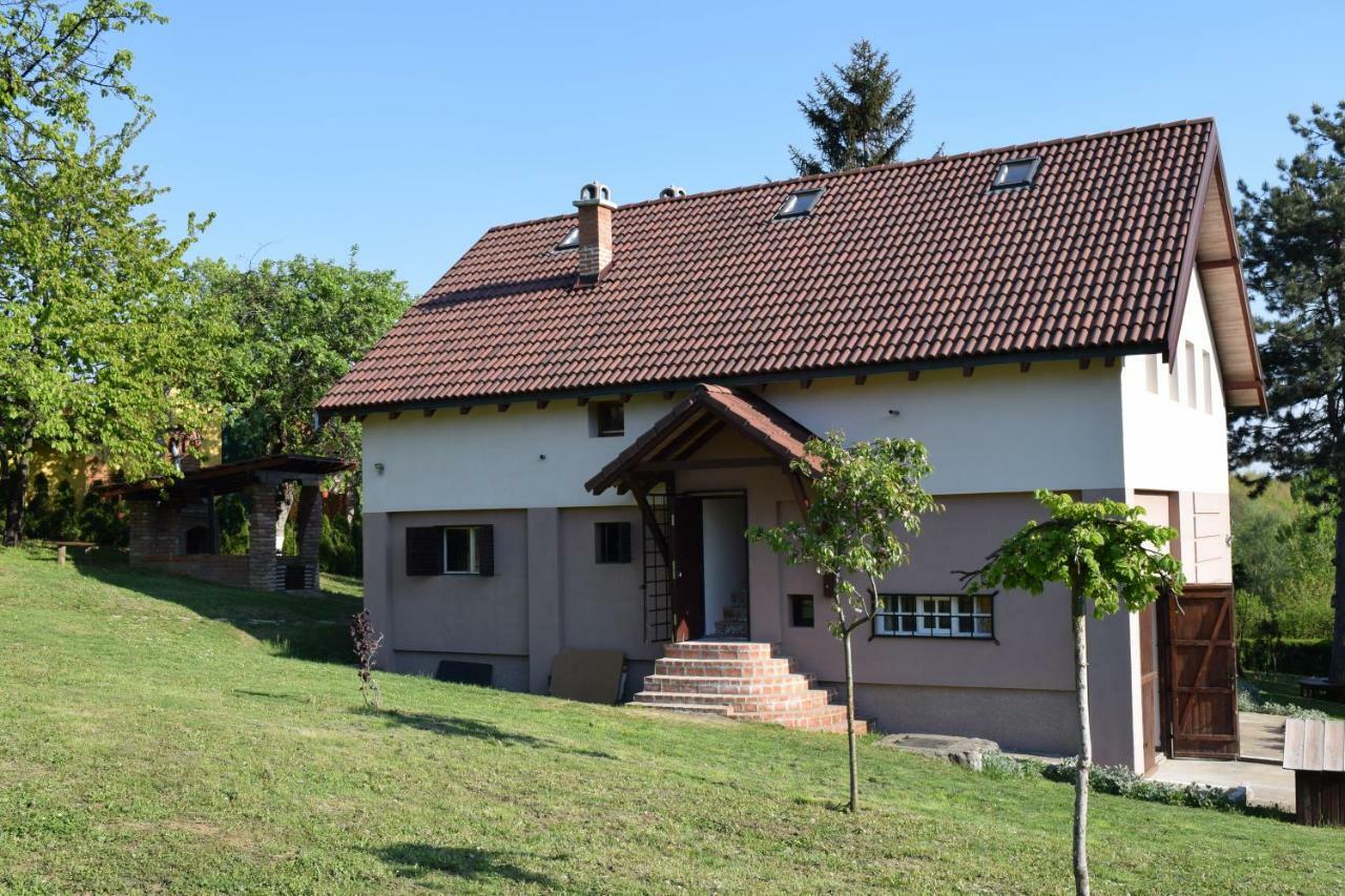 Vila Davidovic-Fruska Gora Bed & Breakfast Mandelos Luaran gambar